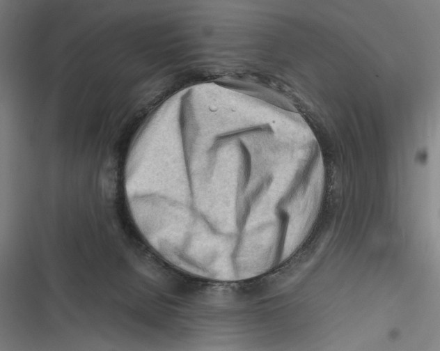 X0000116640080201001111217