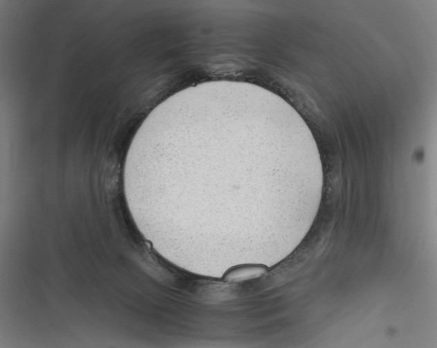 X0000116640081201001111217