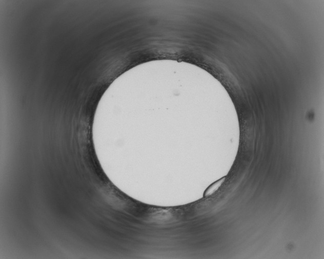 X0000116640083201001111217