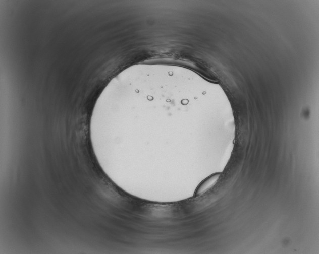 X0000116640085201001111217