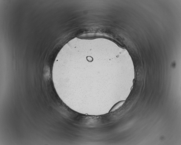 X0000116640089201001111217