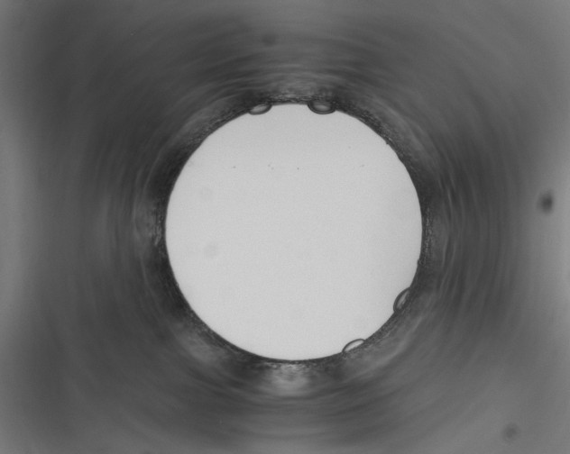 X0000116640091201001111217