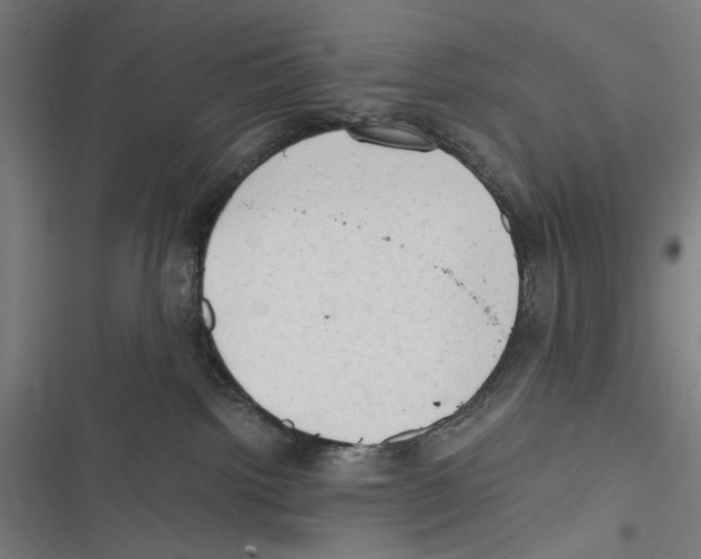 X0000116640092201001111217