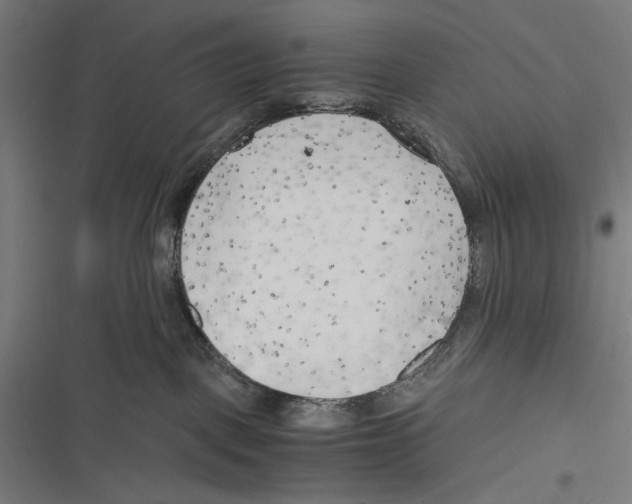 X0000116640093201001111217