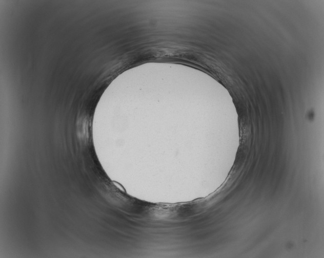 X0000116640094201001111217