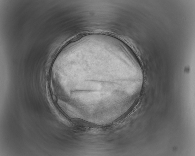 X0000116640097201001111216