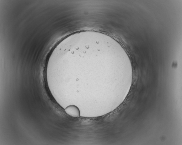 X0000116640098201001111216