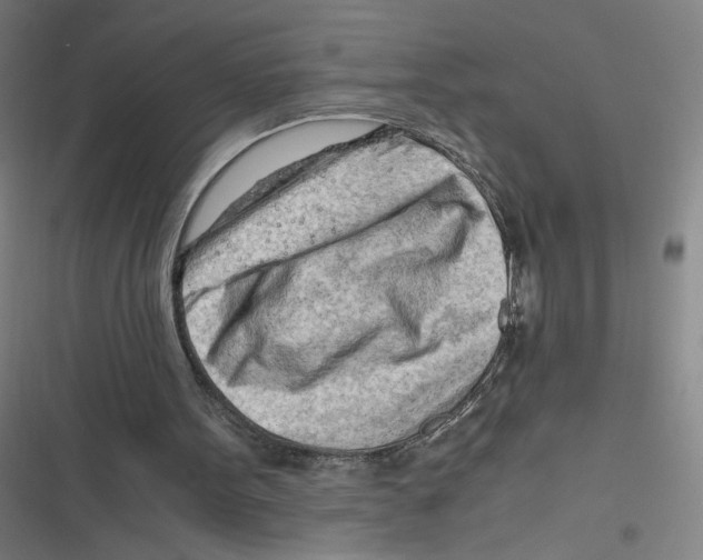 X0000116640099201001111216