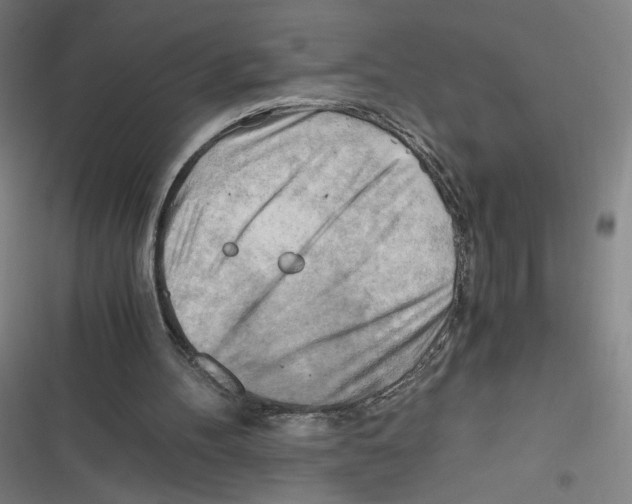 X0000116640100201001111216