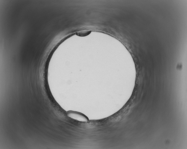 X0000116640103201001111216