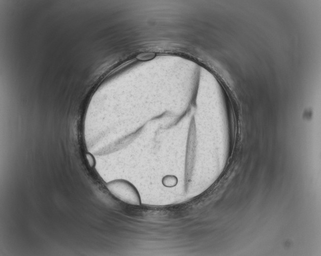 X0000116640105201001111216