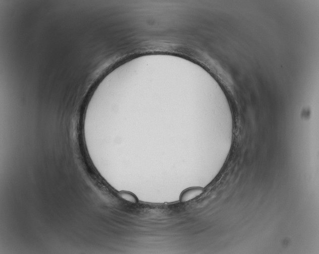 X0000116640107201001111216