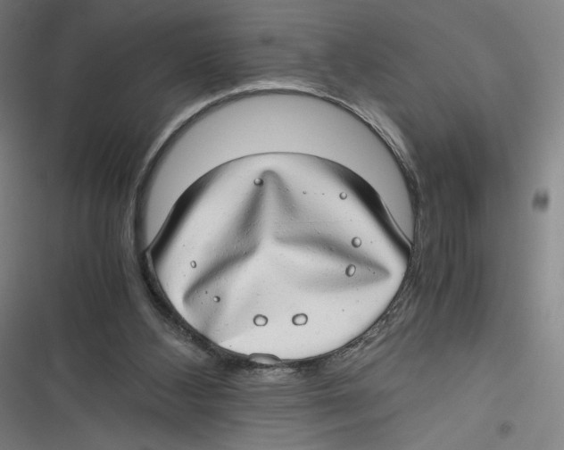 X0000116640108201001111216