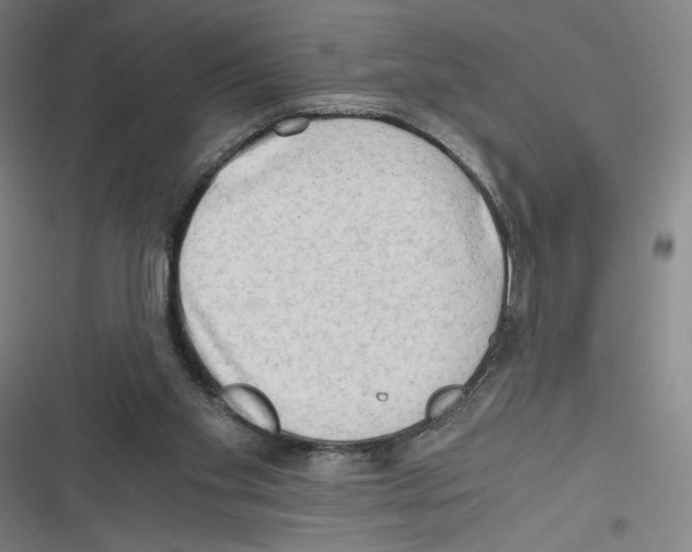 X0000116640109201001111216