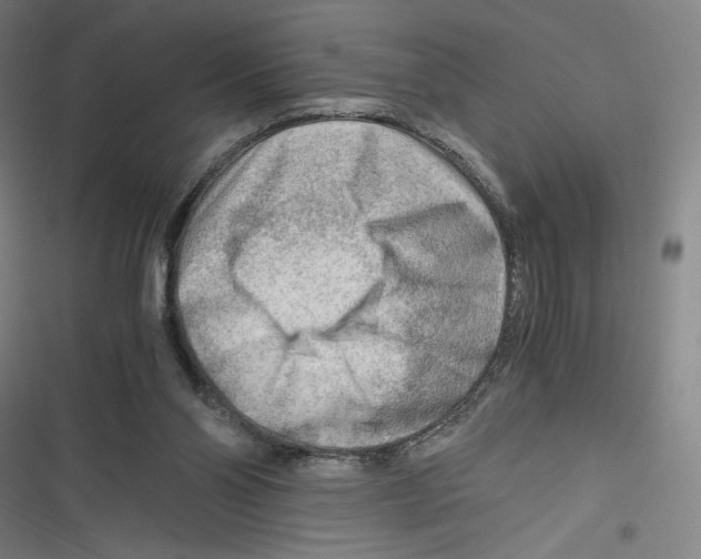 X0000116640110201001111216