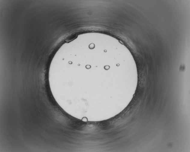 X0000116640111201001111216