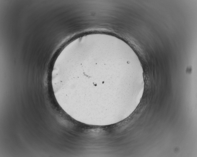 X0000116640112201001111216