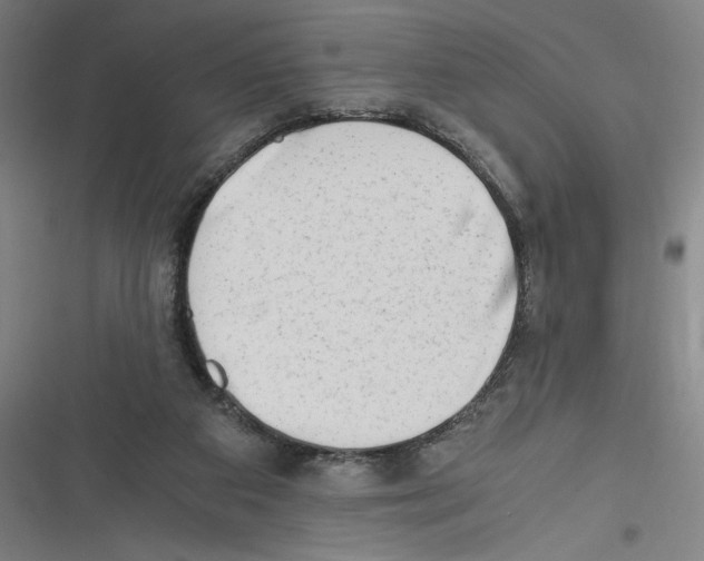 X0000116640113201001111216