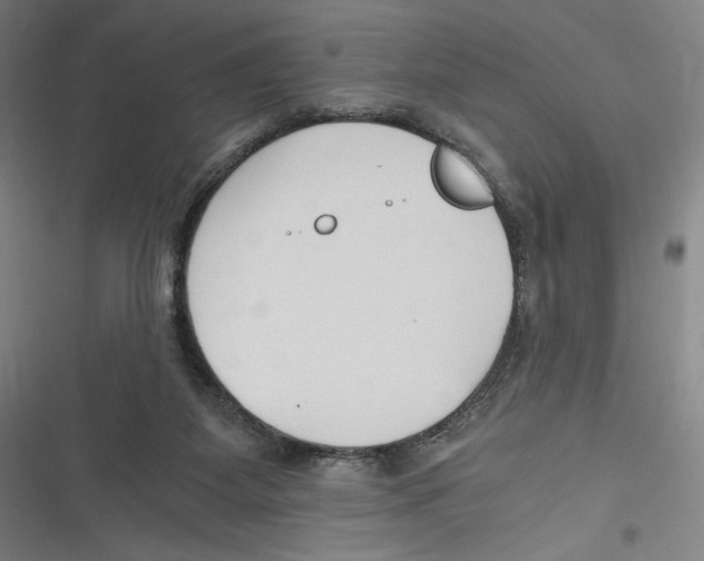 X0000116640115201001111216