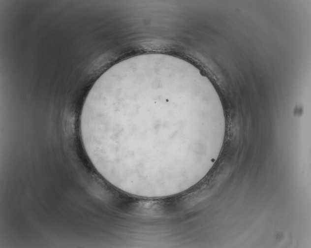 X0000116640117201001111216