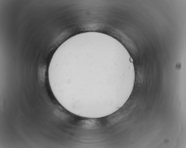 X0000116640118201001111216