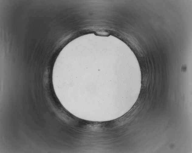 X0000116640120201001111216