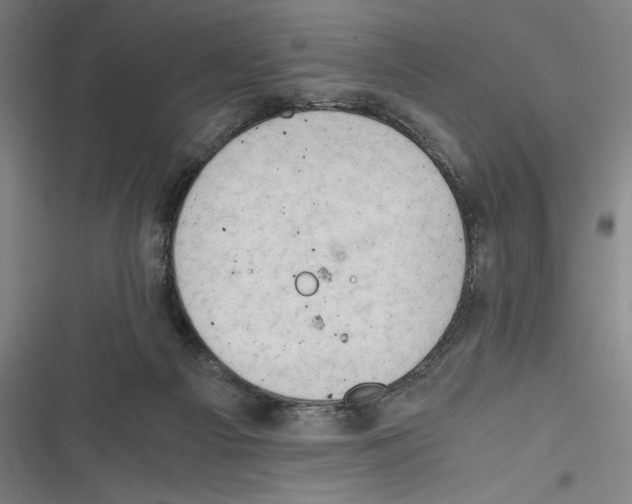 X0000116640121201001111216