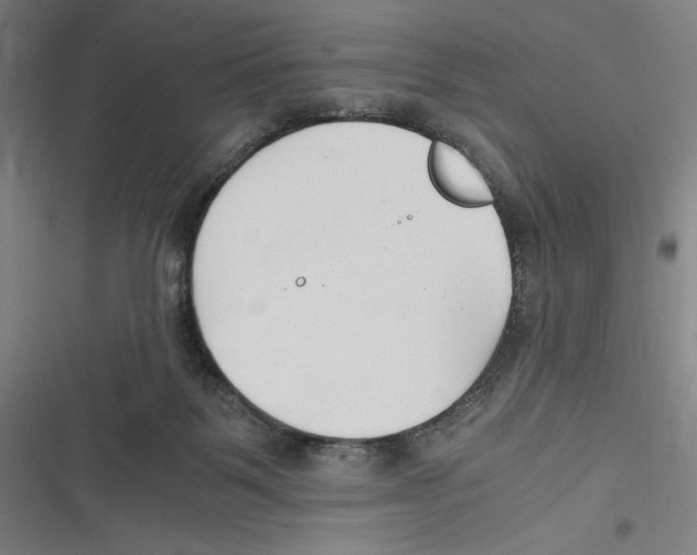 X0000116640123201001111216