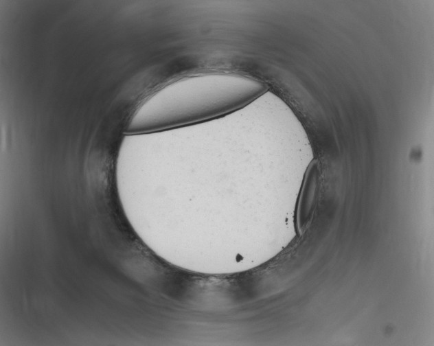 X0000116640125201001111216