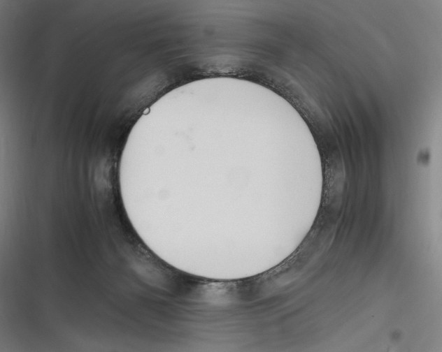 X0000116640126201001111216