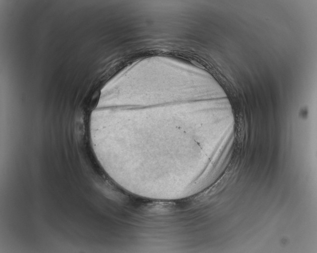 X0000116640128201001111216