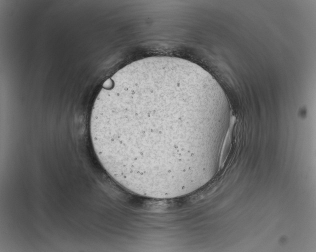 X0000116640131201001111216