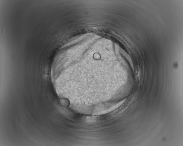 X0000116640134201001111216