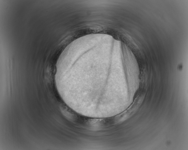 X0000116640136201001111216