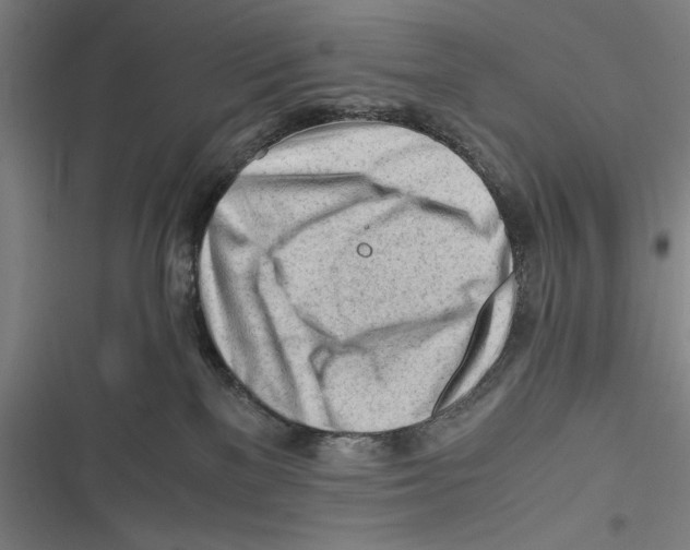 X0000116640137201001111216