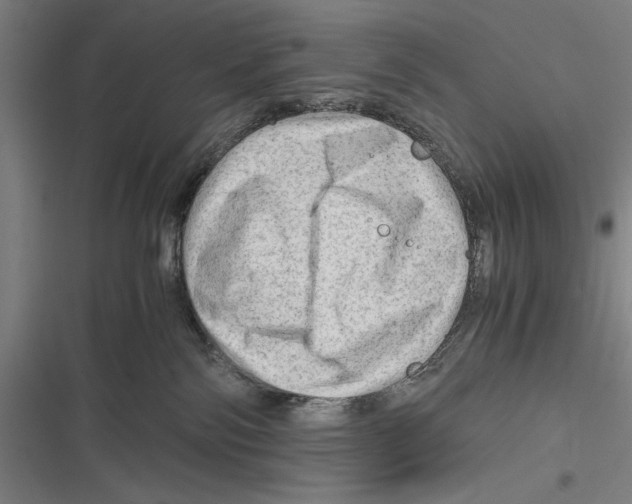 X0000116640138201001111216