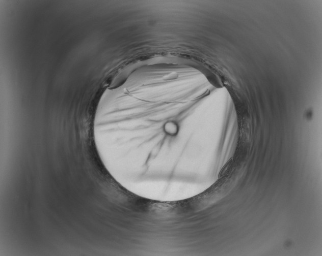 X0000116640139201001111216