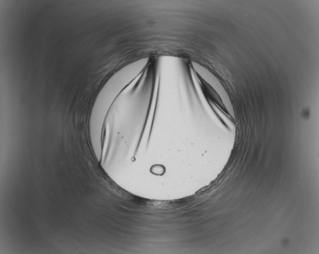 X0000116640141201001111216