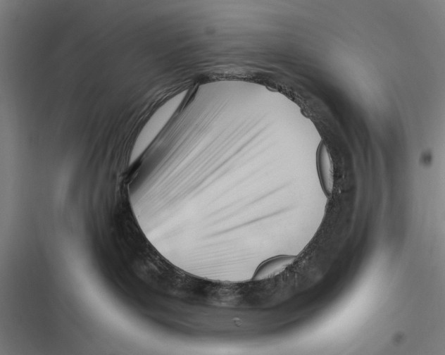 X0000116640143201001111216