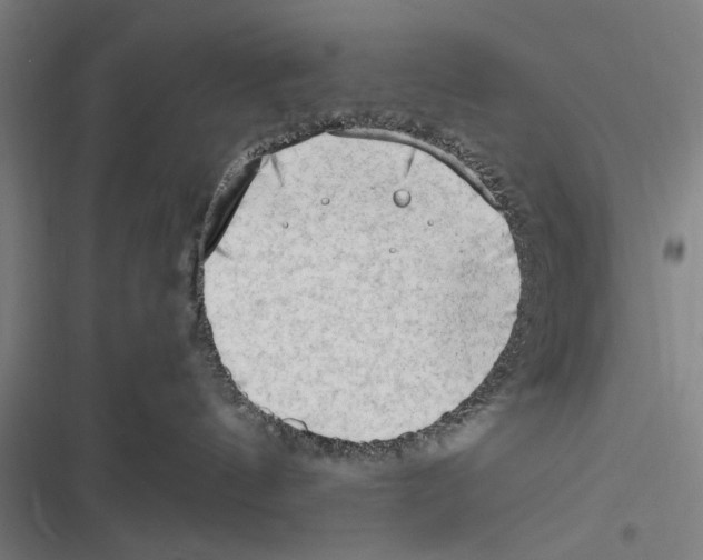 X0000116640144201001111216