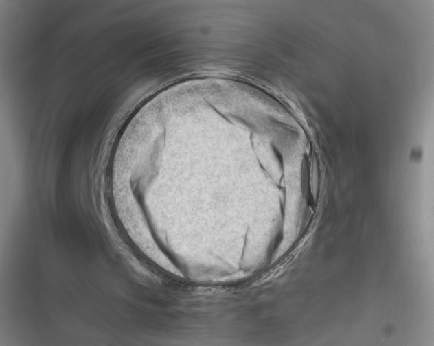 X0000116640145201001111215