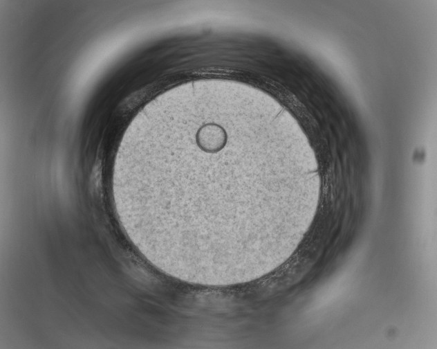 X0000116640146201001111215