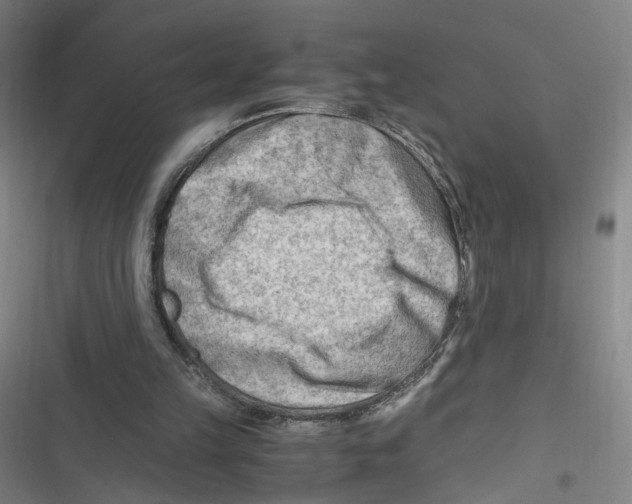 X0000116640149201001111215