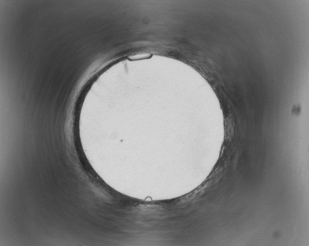 X0000116640150201001111215