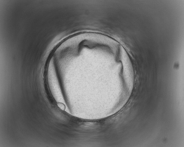 X0000116640151201001111215