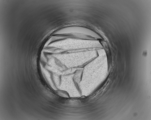 X0000116640154201001111215