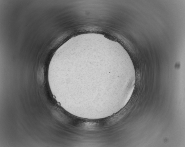 X0000116640158201001111215