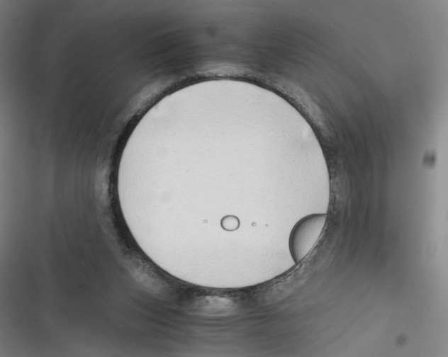 X0000116640159201001111215