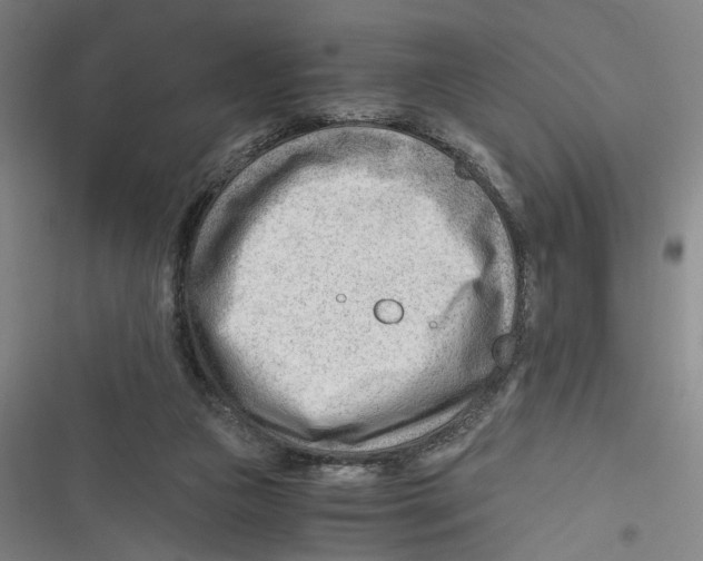 X0000116640161201001111215