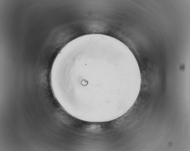 X0000116640162201001111215